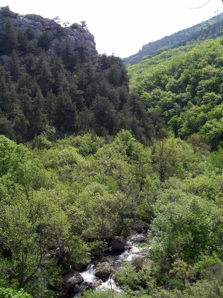 Пороги в Чернореченском каньоне