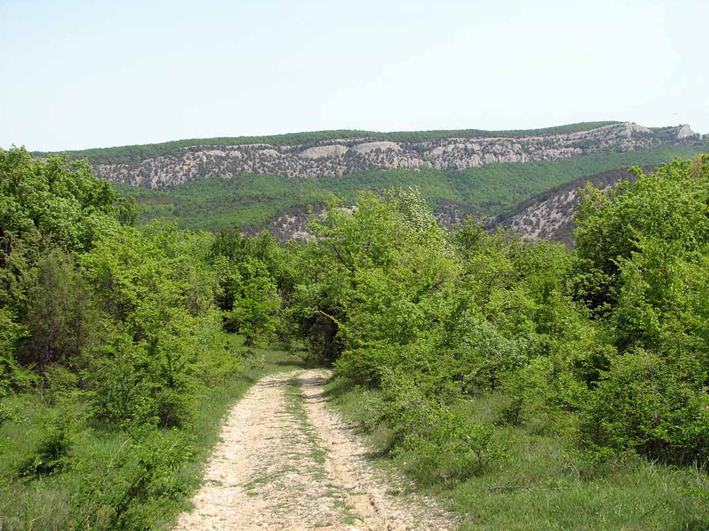 Вид на Чернореченский каньон