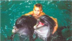дельфинарий в Партените